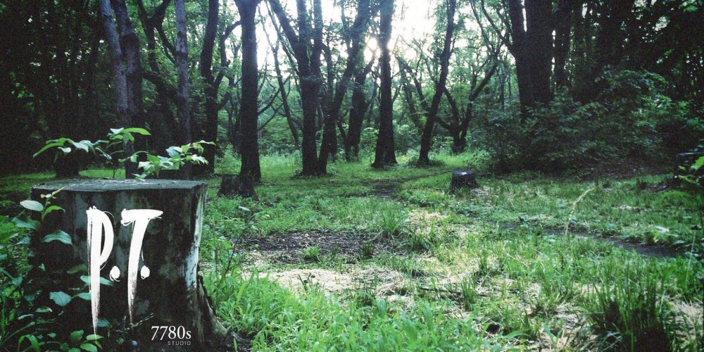 P_T__20140815170332.0